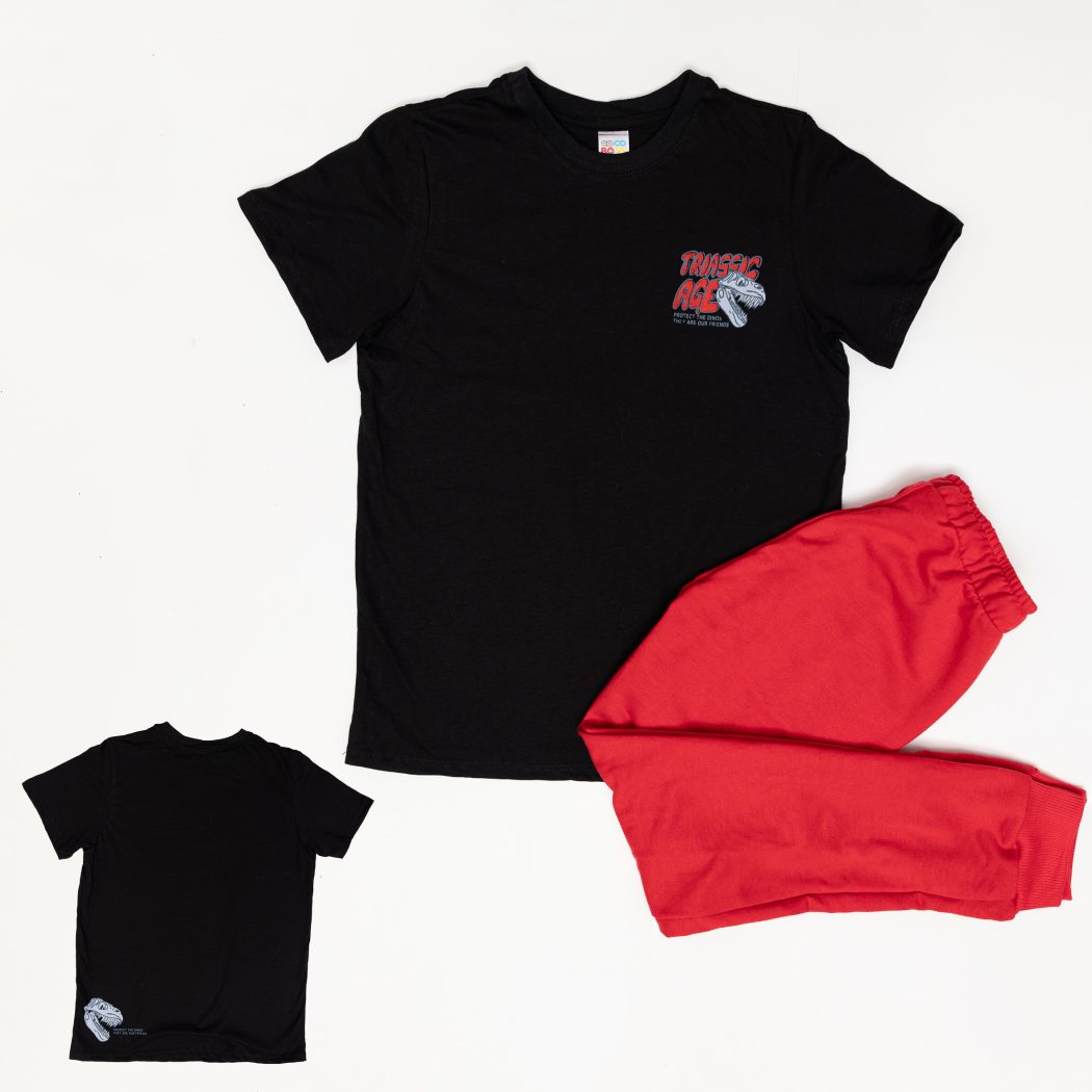 CONJUNTO SUDADERA NIÑO BURDA